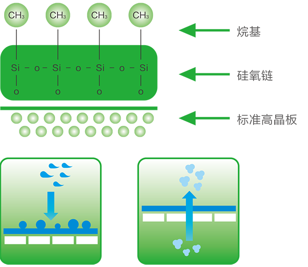  -jinnianhui | jinnian
