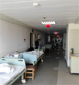  -jinnianhui | jinnian