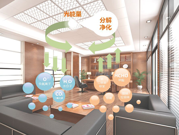  -jinnianhui | jinnian