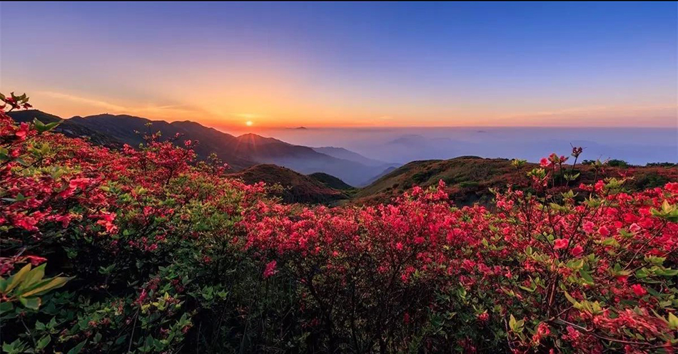  -jinnianhui | jinnian