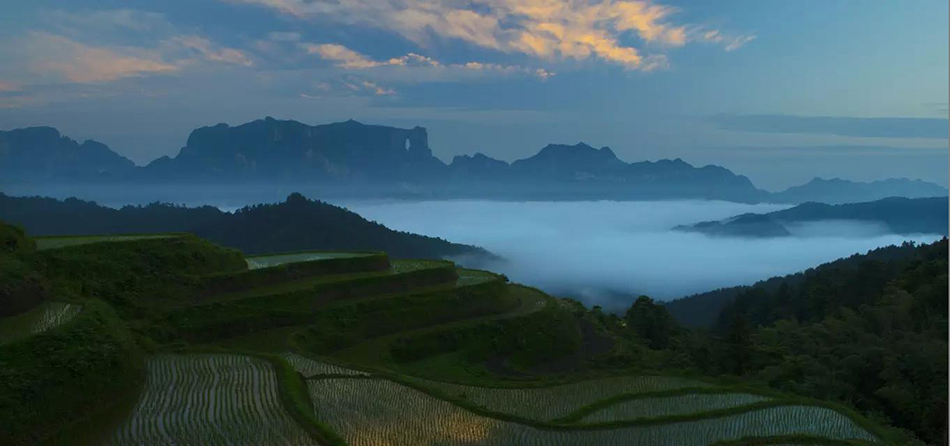  -jinnianhui | jinnian