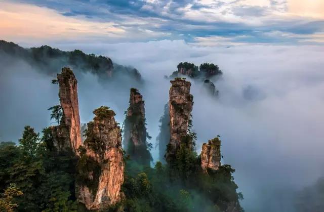  -jinnianhui | jinnian
