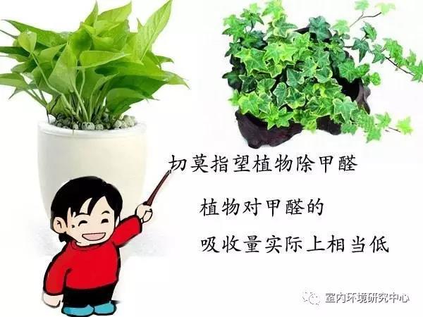  -jinnianhui | jinnian