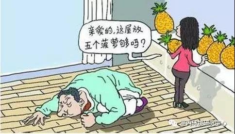  -jinnianhui | jinnian
