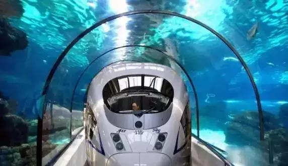  -jinnianhui | jinnian