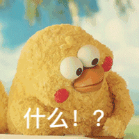  -jinnianhui | jinnian