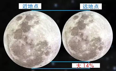  -jinnianhui | jinnian
