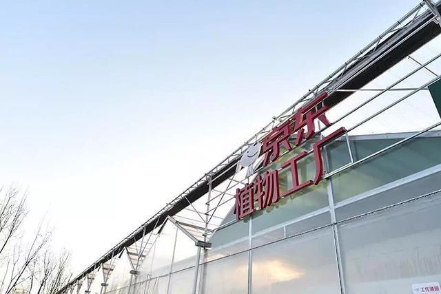  -jinnianhui | jinnian