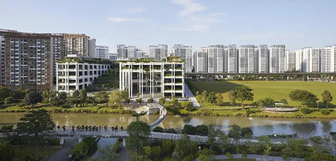  -jinnianhui | jinnian