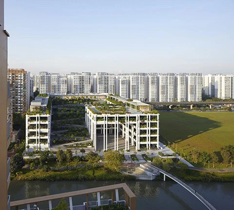  -jinnianhui | jinnian