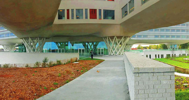  -jinnianhui | jinnian