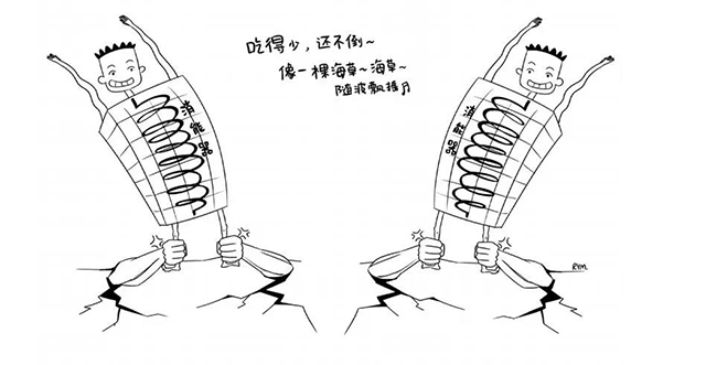  -jinnianhui | jinnian
