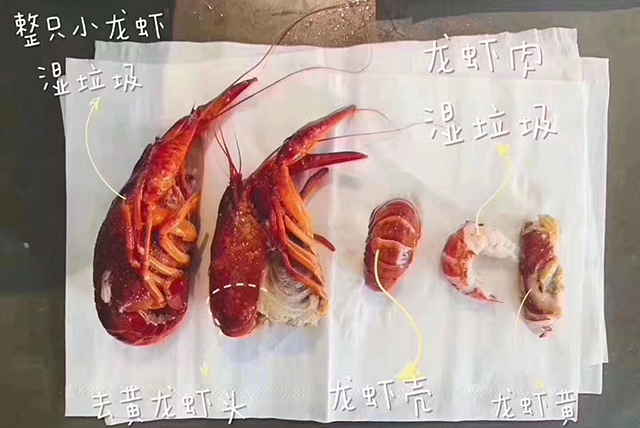  -jinnianhui | jinnian