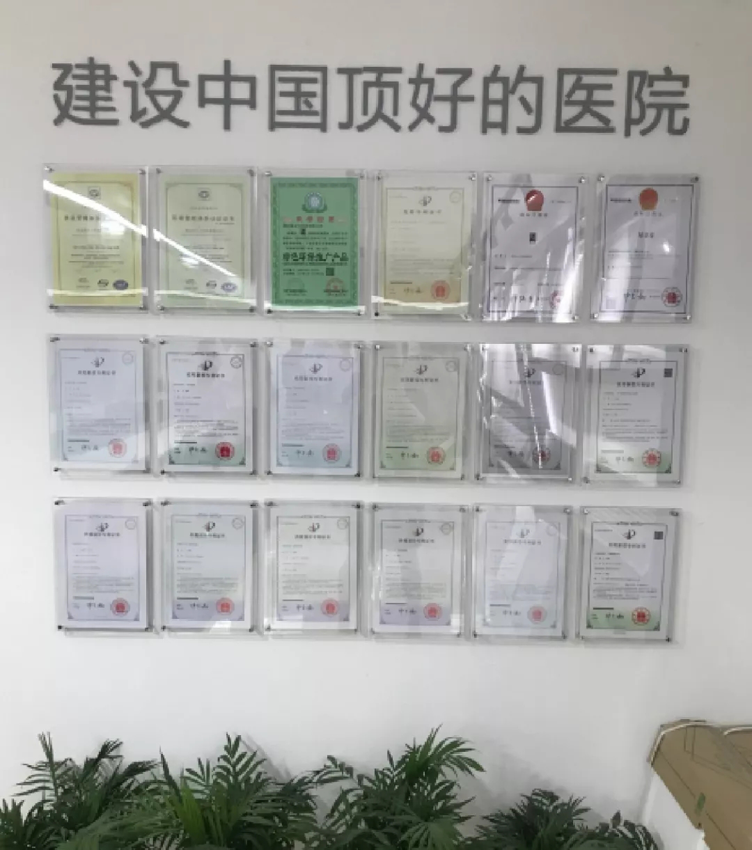  -jinnianhui | jinnian
