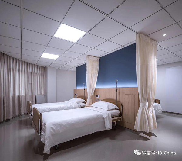  -jinnianhui | jinnian