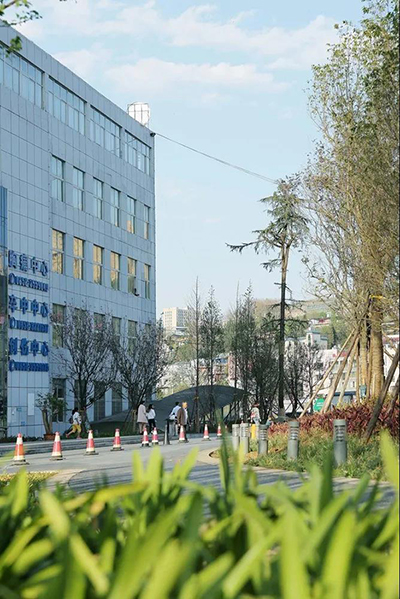  -jinnianhui | jinnian