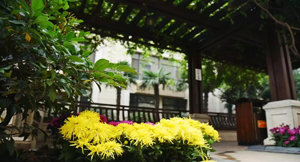  -jinnianhui | jinnian