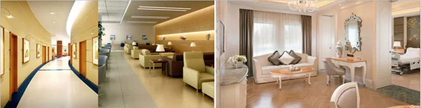  -jinnianhui | jinnian