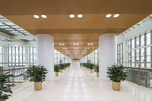  -jinnianhui | jinnian