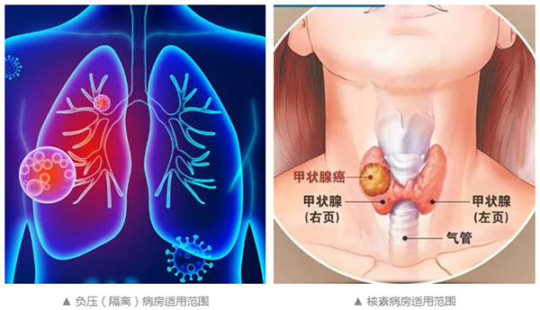  -jinnianhui | jinnian